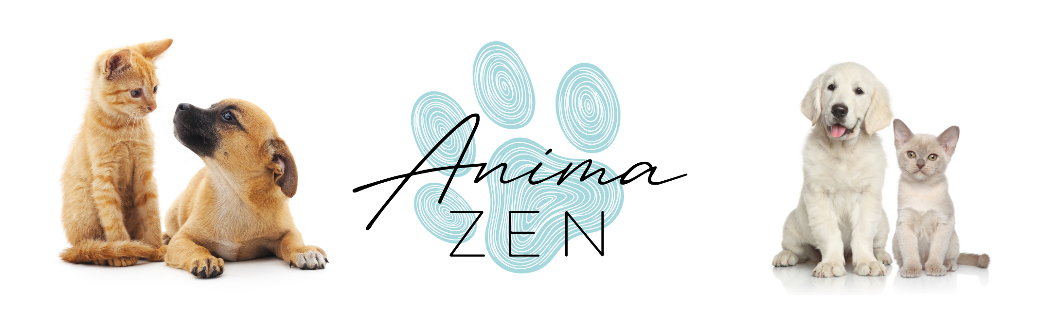 ANIMA ZEN